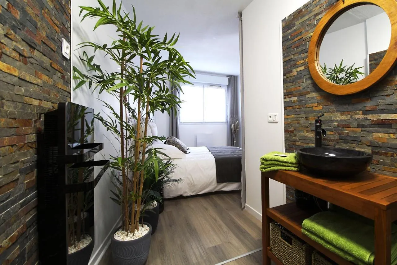 L'Evasion Lourdaise Terrasse Centre Parking Wifi Apartment Lourdes