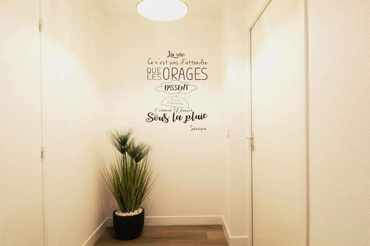L'Evasion Lourdaise Terrasse Centre Parking Wifi Apartment Lourdes