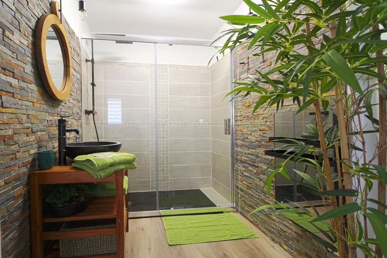 L'Evasion Lourdaise Terrasse Centre Parking Wifi Apartment Lourdes